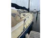 Nonsuch Classic 30 Click to launch Larger Image