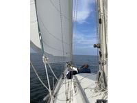 Morgan Yatchs 382 Click to launch Larger Image