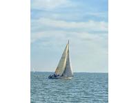 Brighton Dehler DB1 Click to launch Larger Image