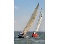 Brighton Dehler DB1 Click to launch Larger Image