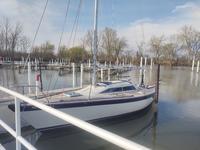 Brighton Dehler DB1 Click to launch Larger Image