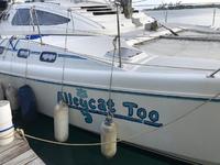 Fortuna Catamarans Island Spirit 40 Click to launch Larger Image
