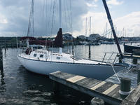 Cherubini Raider Click to launch Larger Image