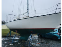 Cherubini Raider Click to launch Larger Image