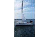 O'Day Rhodes 19 Click to launch Larger Image