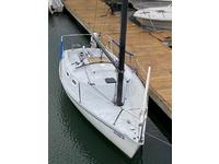 Freedom 21 Tillotson Pearson Freedom 21 Click to launch Larger Image