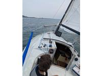 Freedom 21 Tillotson Pearson Freedom 21 Click to launch Larger Image