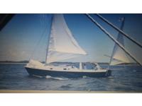 Edey and Duff Shearwater 28' Click to launch Larger Image