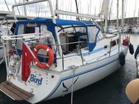 Sceptre Marine Sceptre 41' Click to launch Larger Image