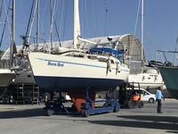 Sceptre Marine Sceptre 41' Click to launch Larger Image