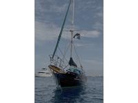 1974  California 38 Ta Chiao CT38 non Warwick