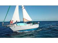 Westsail 42 Cutter Click to launch Larger Image