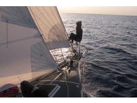 CN71 Imapla 40 Click to launch Larger Image