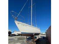 Catalina 30 Tall Rig Click to launch Larger Image
