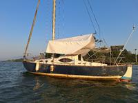 Royal System Yacht Yard Sagitta 30 Click to launch Larger Image