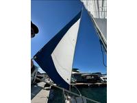 International Marine West White Potter 19 Blue Water lay up Click to launch Larger Image