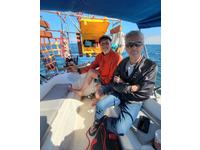 International Marine West White Potter 19 Blue Water lay up Click to launch Larger Image