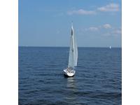 WD Schock Schock 35 Click to launch Larger Image