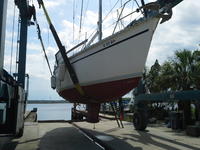 Hunter Legend Click to launch Larger Image