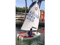 McLaughlin Optimist