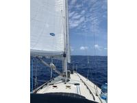 Pearson 33-2 Click to launch Larger Image