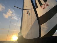 Pearson 33-2 Click to launch Larger Image