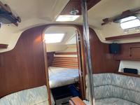 Pearson 33-2 Click to launch Larger Image