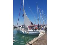 Gallart Spain 13.5 MS Click to launch Larger Image