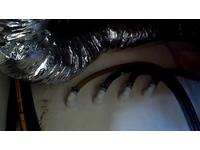 Leopard 48 Click to launch Larger Image