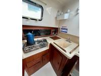 Hunter Cherubini Click to launch Larger Image