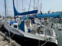 Hunter Cherubini Click to launch Larger Image