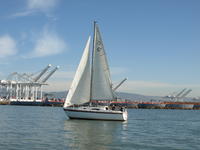 Cal 2-25 Click to launch Larger Image