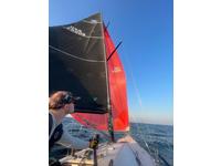 Carrol Marine 1D35 Sailboat Click to launch Larger Image