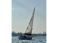 Hinterhoeller NONSUCH 26U ULTRA Click to launch Larger Image