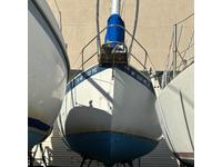 Hinterhoeller NONSUCH 26U ULTRA Click to launch Larger Image