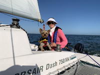 Corsair 750 Dash mk II Click to launch Larger Image