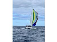 2019 Beneteau Oceanis 41.1 Click to launch Larger Image