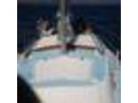 catalina 27 sailboat Click to launch Larger Image