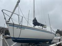 Catalina Capri 22 2003 Sloop Tall Rig Click to launch Larger Image
