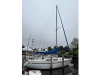 Lippincott 30 Click to launch Larger Image