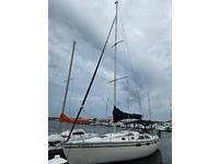 Hunter legend 35.5 Click to launch Larger Image