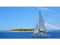 Type Simpson 14m Performance Design Sail/Power Sloop rigged cruising catamaran Click to launch Larger Image