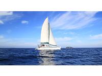 Type Simpson 14m Performance Design Sail/Power Sloop rigged cruising catamaran Click to launch Larger Image