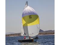 WD Schock Santana 20 Click to launch Larger Image