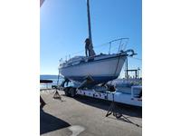 Morgan Out Island 28 Click to launch Larger Image