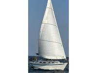 Erickson 29