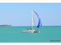 Edel Edelcat 35 Click to launch Larger Image