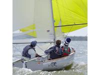 Great Midwest Yacht Co Thistle Click to launch Larger Image