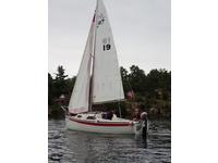 Sage Sage17 Click to launch Larger Image
