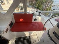 Meta Delu 40 Click to launch Larger Image